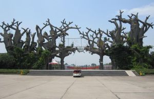 禹州森林植物園