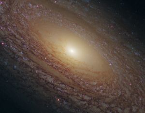 特寫螺旋星系NGC2841