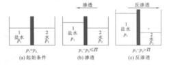 滲透和反滲透現象