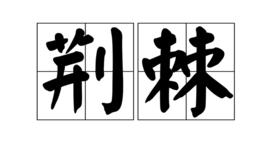 荊棘[漢語詞語]