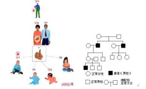 伴性遺傳病