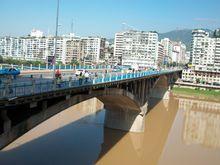 新通川橋