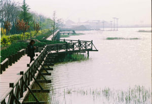 東營市明月湖國家城市濕地公園