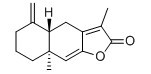 白朮內酯I