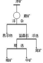 單一浮選原則工藝流程1