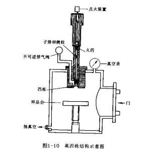 基因槍