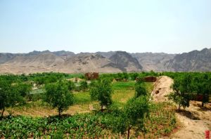 甘肅雙龍鄉 甘肅雙龍鄉