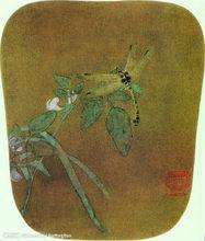 豆花蜻蜓圖