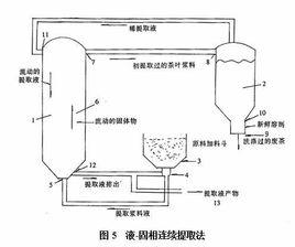 浸提