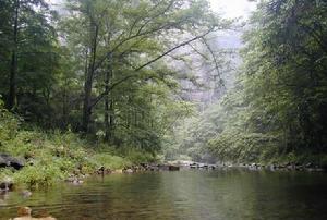 峨眉山金盾旅行社