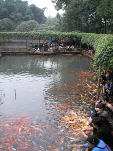 浣花公園一日游