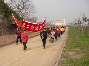 樊口街道