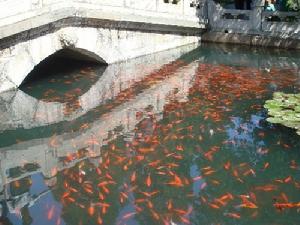 （圖）臥佛寺[山東]