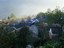 桃樹村[雲南省大理市太邑彝族鄉桃樹村]