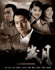 歲月[2007年胡軍主演電視劇]