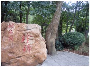 深圳仙湖植物園