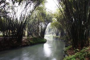 天府農耕博覽園