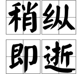 稍縱即逝[漢語成語]