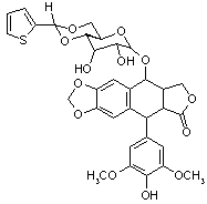 替尼泊甙注射液