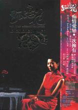 孤戀花[2005年曹瑞源執導電視劇]