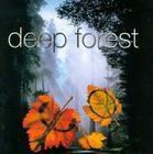 Deep Forest