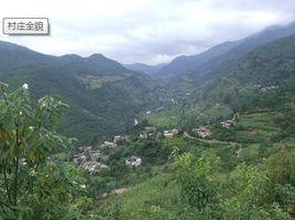 東風村[雲南省麗江市寧蒗縣新營盤鄉行政村]