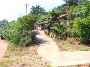 新公寨自然村 新公寨自然村