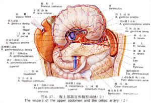 慢性腸系膜缺血