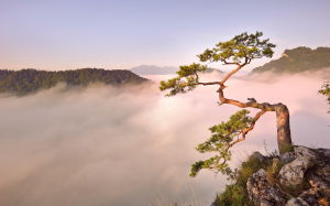 深圳風水大師