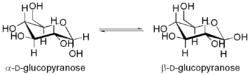 α-與β-D-吡喃葡萄糖之間的變旋。