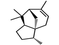 52種萜烯類物質