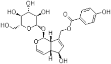 牡荊油