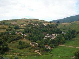 背陰坡村[河南省南召縣城郊鄉背陰坡村]