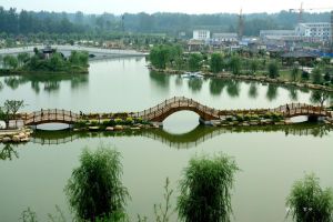 夏津黃河故道森林公園