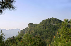 仰頭山森林公園