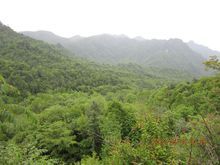 木王山國家森林公園