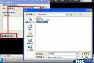 realplayer11