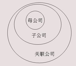 母公司