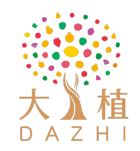 DAZHI