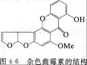 雜色麴黴毒素