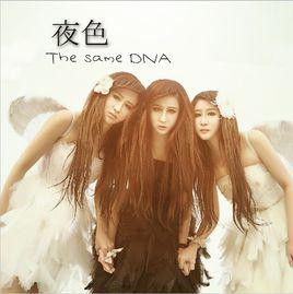 夜色[The same DNA 演唱歌曲]