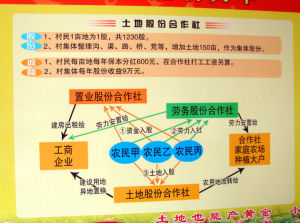 土地股份合作社