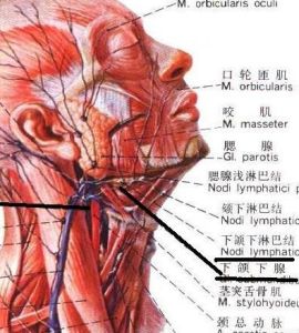 淋巴腺炎