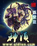 小說《神隕》封面