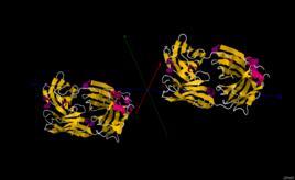 Cetuximab