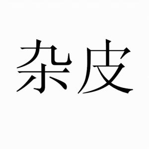 雜皮[重慶方言]