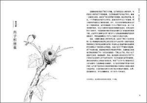 《昆蟲記·第四卷：蜂類的毒液》插圖