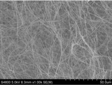 碳化矽納米線的SEM照片