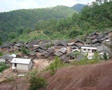 大平掌村[雲南省普洱市景谷縣正興鎮大平掌村]