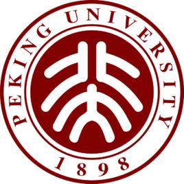 北京大學一流大學建設高校建設方案（精編版）